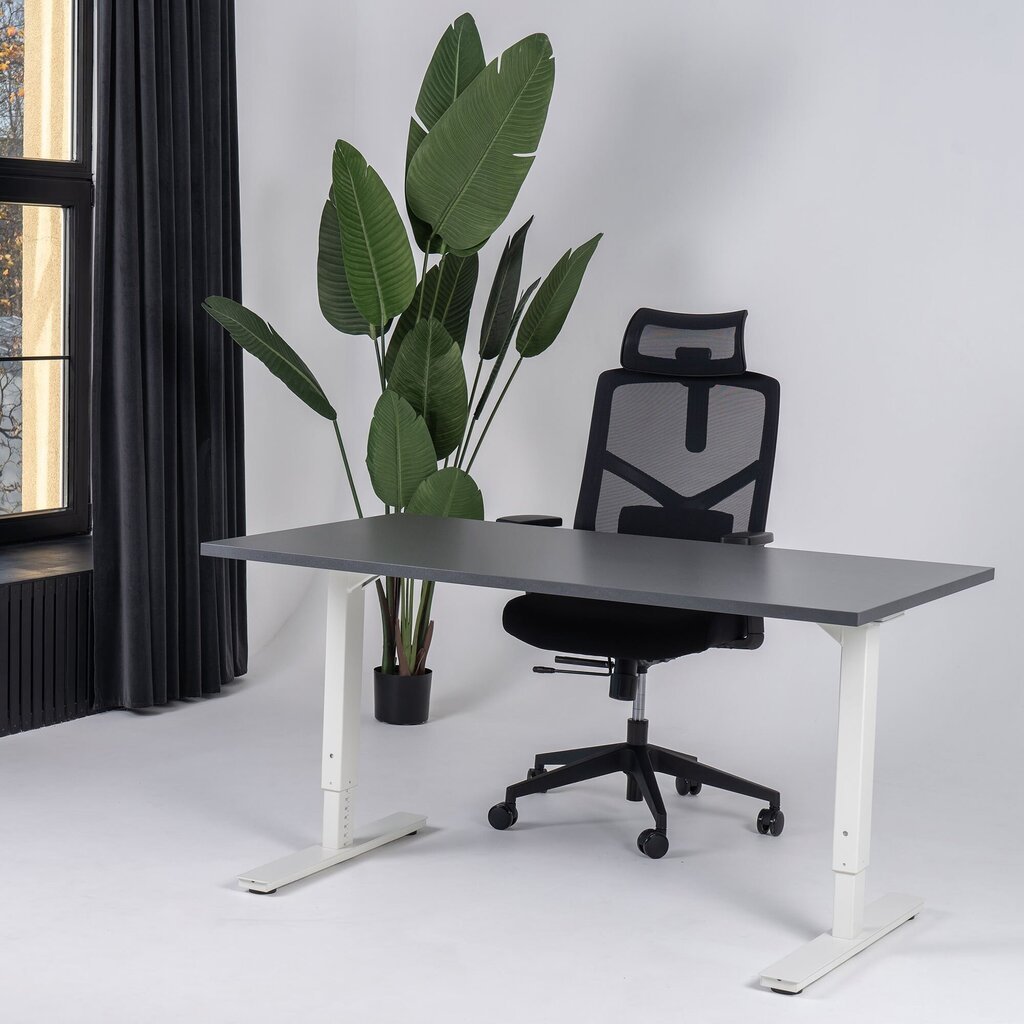 Reguliuojamas stalas Ergostock Forza line, 160x80 cm, juodas/baltas kaina ir informacija | Kompiuteriniai, rašomieji stalai | pigu.lt