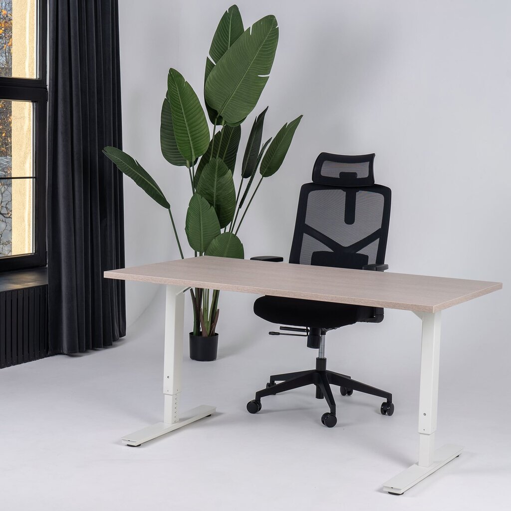 Reguliuojamas stalas Ergostock Forza line, 160x80 cm, rudas/baltas kaina ir informacija | Kompiuteriniai, rašomieji stalai | pigu.lt