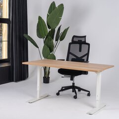 Регулируемый стол Ergostock Forza line 180x80 см, цвета ореха/белый цена и информация | Компьютерные, письменные столы | pigu.lt