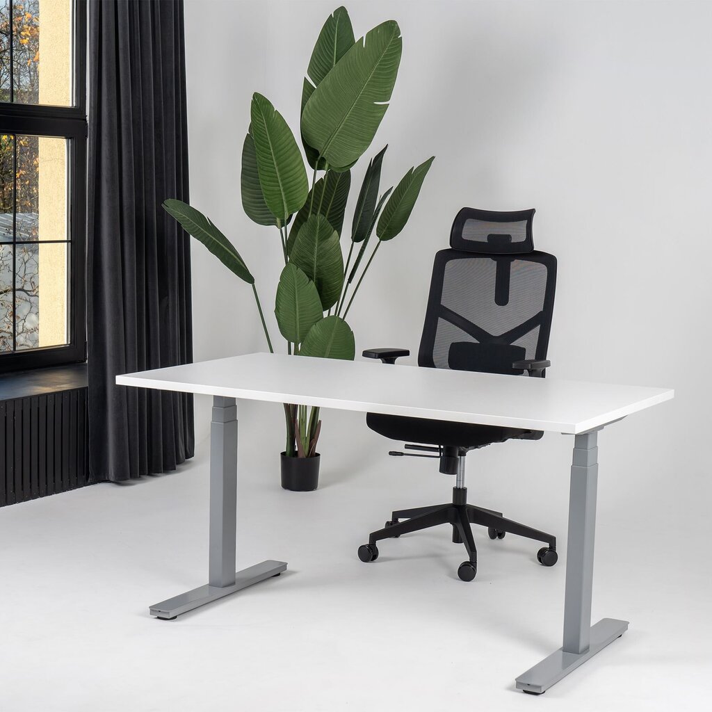 Reguliuojamas stalas Ergostock Prestige line, 120x65 cm, baltas/juodas цена и информация | Kompiuteriniai, rašomieji stalai | pigu.lt
