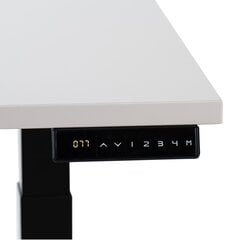 Регулируемый стол Ergostock Prestige line, 120x65 см, белый/цвета антрацита цена и информация | Компьютерные, письменные столы | pigu.lt