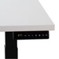 Reguliuojamas stalas Ergostock Prestige line, 120x65 cm, baltas/juodas цена и информация | Kompiuteriniai, rašomieji stalai | pigu.lt