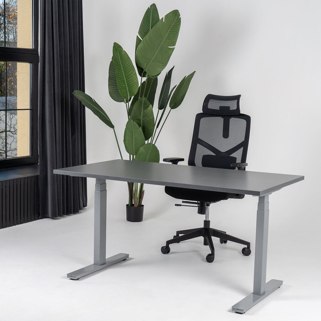 Reguliuojamas stalas Ergostock Prestige line, 120x65 cm, juodas цена и информация | Kompiuteriniai, rašomieji stalai | pigu.lt