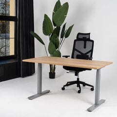 Регулируемый стол Ergostock Prestige line, 140x80 см, цвета ореха/цвета антрацита цена и информация | Компьютерные, письменные столы | pigu.lt