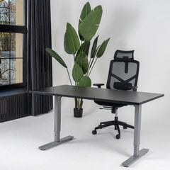 Регулируемый стол Ergostock Forza line, 120x80 см, черный/цвета антрацита цена и информация | Компьютерные, письменные столы | pigu.lt