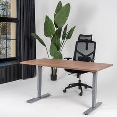 Reguliuojamas stalas Ergostock Forza line, 160x80 cm, rudas/juodas kaina ir informacija | Kompiuteriniai, rašomieji stalai | pigu.lt