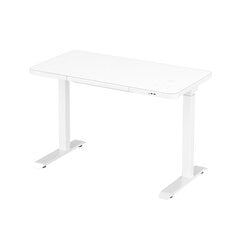 Reguliuojamas stalas Ergostock Home 120x60 cm, baltas kaina ir informacija | Kompiuteriniai, rašomieji stalai | pigu.lt