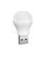USB lemputė цена и информация | Elektros lemputės | pigu.lt