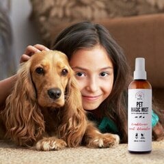 Kondicionierius šunims ir katėms PETS Magic Mist, 250 ml цена и информация | Косметические средства для животных | pigu.lt