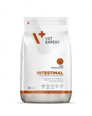 VetExpert Veterinary Diet Cat Intestinal, 2 kg kaina ir informacija | Sausas maistas katėms | pigu.lt