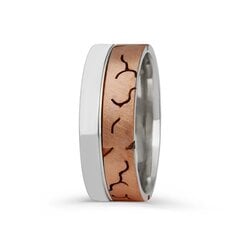Серебряное (925) кольцо с классическим дизайном, код ah5ss8168, EU-63 (~20 мм) AH5SS8168EU-63 цена и информация | Кольца | pigu.lt