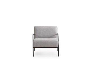 Кресло Asir Eti Bergere, серый цена и информация | Кресла в гостиную | pigu.lt