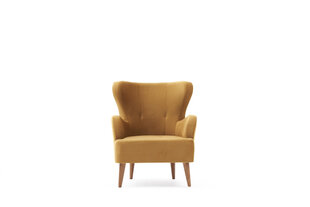 Кресло Asir Karina, золотое цена и информация | Кресла в гостиную | pigu.lt