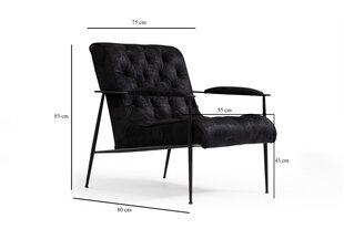 Кресло Asir Matilda, черный цена и информация | Кресла в гостиную | pigu.lt