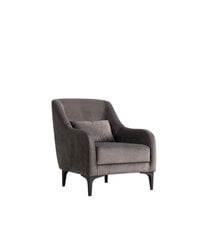 Кресло Asir Astana, серый цена и информация | Кресла в гостиную | pigu.lt