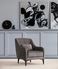 Кресло Asir Astana, серый цена и информация | Кресла в гостиную | pigu.lt