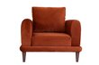 Fotelis Asir Nero NQ6-168, oranžinis kaina ir informacija | Svetainės foteliai | pigu.lt