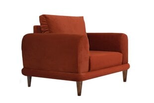 Fotelis Asir Nero NQ6-168, oranžinis kaina ir informacija | Svetainės foteliai | pigu.lt