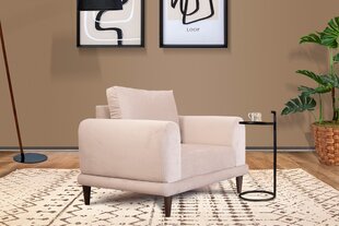 Кресло Asir Nero NQ6-169, цвета песка цена и информация | Кресла в гостиную | pigu.lt