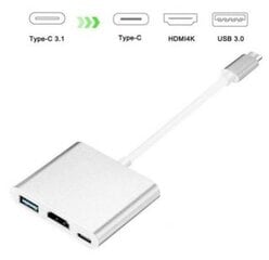 iLike HD1 3in1 USB-C (Type-C) Плагин на HDMI 4K / USB 3.0 / USB-C Женский аудио- и видеокабельный адаптер Серебристый (OEM) цена и информация | Адаптеры, USB-разветвители | pigu.lt