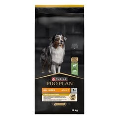 Purina Pro Plan для взрослых стерилизованных собак с ягненком, 14 кг цена и информация |  Сухой корм для собак | pigu.lt