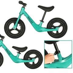 Trike Fix Active X2 krosinis dviratis žalias цена и информация | Балансировочные велосипеды | pigu.lt