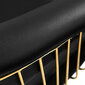 Profesionali kirpyklos plautuvė Gabbiano Lille-M, juoda kaina ir informacija | Baldai grožio salonams | pigu.lt