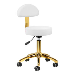 косметический стул am-304g, золото цена и информация | Мебель для салонов красоты | pigu.lt