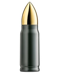 Термос Bullet, 350 мл цена и информация | Другие оригинальные подарки | pigu.lt