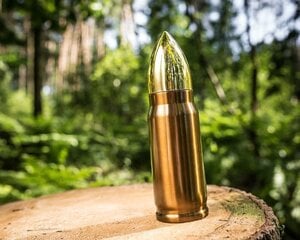 Термос Bullet, 350 мл цена и информация | Другие оригинальные подарки | pigu.lt