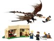 75946 LEGO® Harry Potter Vengrijos ragauodegio burtų trikovės iššūkis kaina ir informacija | Konstruktoriai ir kaladėlės | pigu.lt