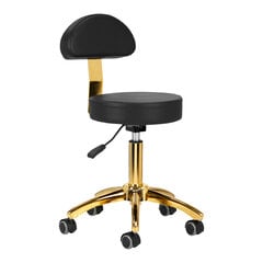 косметический стул am-304g, золото и черный цена и информация | Мебель для салонов красоты | pigu.lt