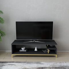 TV stovas Asir, 120x44,6x37,6 cm, auksinis/pilkas kaina ir informacija | TV staliukai | pigu.lt