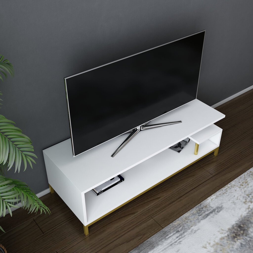 TV stovas Asir, 120x44,6x37,6 cm, auksinis/baltas kaina ir informacija | TV staliukai | pigu.lt