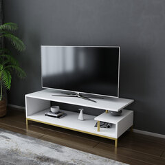 TV stovas Asir, 120x44,6x37,6 cm, auksinis/baltas kaina ir informacija | TV staliukai | pigu.lt