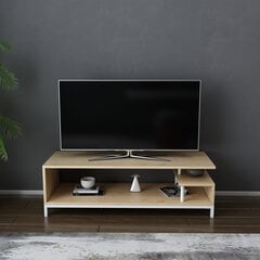 TV stovas Asir, 120x44,6x37,6 cm, baltas/smėlio spalvos kaina ir informacija | TV staliukai | pigu.lt