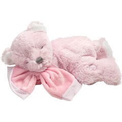 Pliušinė muzikinė meškutė Suki Baby Hug-a-Boo, rožinė цена и информация | Мягкие игрушки | pigu.lt