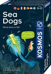 Креативный набор Sea Dogs 8 лет + цена и информация | Развивающие игрушки | pigu.lt