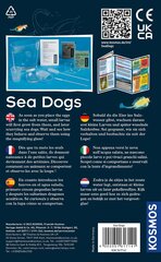 Креативный набор Sea Dogs 8 лет + цена и информация | Развивающие игрушки | pigu.lt