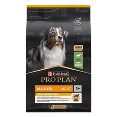 Purina Pro Plan antsvorio turintiems šunims su ėriena, 3 kg kaina ir informacija | Sausas maistas šunims | pigu.lt