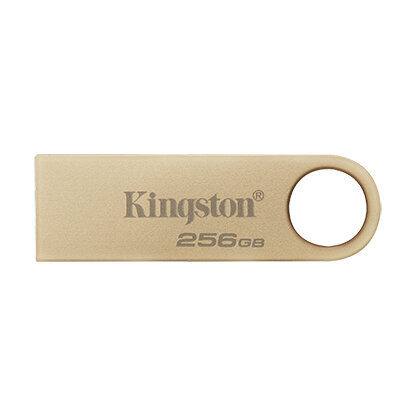 Kingston DataTraveler 256GB USB 3.2 kaina ir informacija | USB laikmenos | pigu.lt