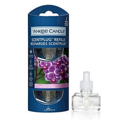 Запаска для домашнего аромата Yankee Candle Wild Orchid, 2x18.5 мл цена и информация | Ароматы для дома | pigu.lt