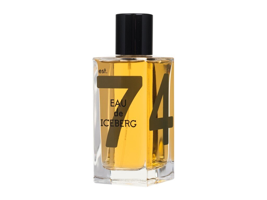 Tualetinis vanduo Iceberg Eau De Iceberg Amber EDT vyrams, 100 ml kaina ir informacija | Kvepalai vyrams | pigu.lt