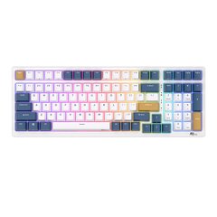 Mechanical keyboard Royal Kludge RK98 RGB, Red switch (blue) цена и информация | Клавиатуры | pigu.lt