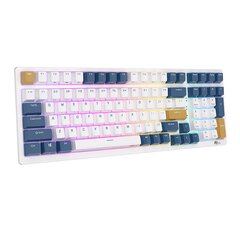 Mechanical keyboard Royal Kludge RK98 RGB, Red switch (blue) цена и информация | Клавиатуры | pigu.lt