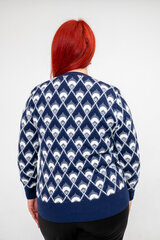 Moteriškas džemperis, įvairiaspalvis kaina ir informacija | Megztiniai moterims | pigu.lt