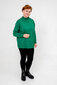 Moteriškas džemperis, žalias kaina ir informacija | Megztiniai moterims | pigu.lt