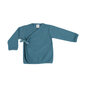 Marškinėliai berniukams, mėlyni kaina ir informacija | Marškinėliai kūdikiams | pigu.lt