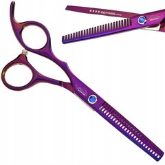Profesionalios žirklės plaukų kirpimui цена и информация | Расчески, щетки для волос, ножницы | pigu.lt