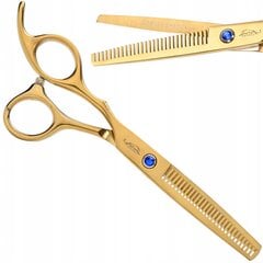 Profesionalios žirklės plaukams kirpti цена и информация | Расчески, щетки для волос, ножницы | pigu.lt